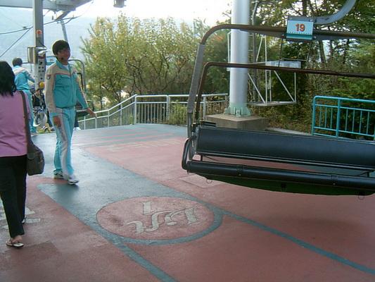 SUC31610_resize.JPG